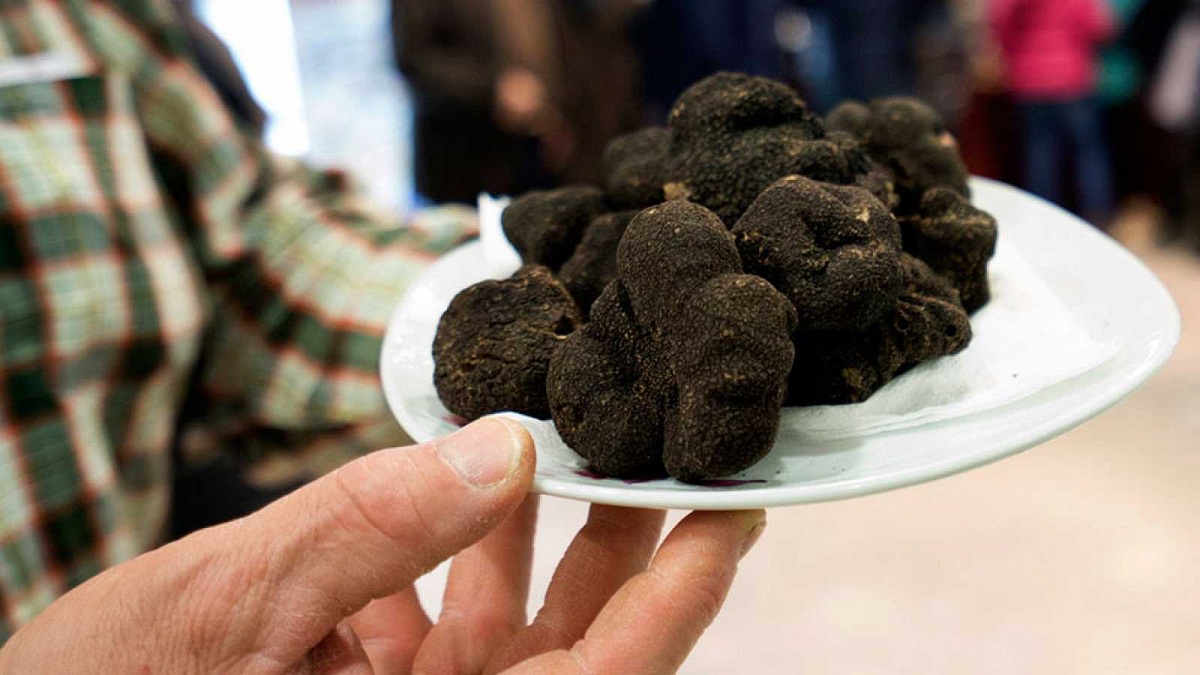 persona llevando plato de trufas negras