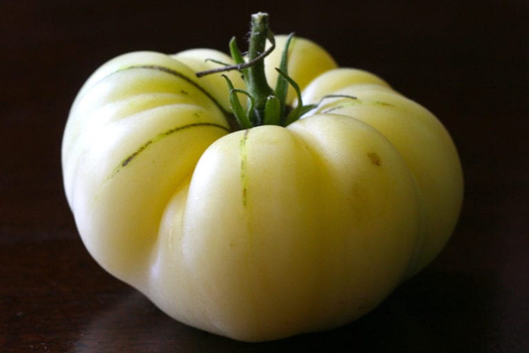Tomate White Beauty de color blanco crema