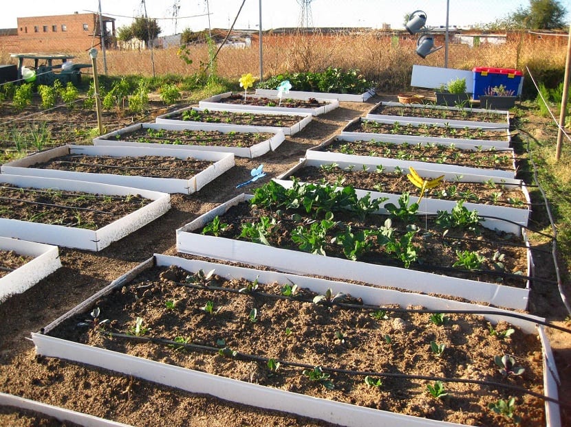 Bancales en el huerto: ventajas, medidas y construcción