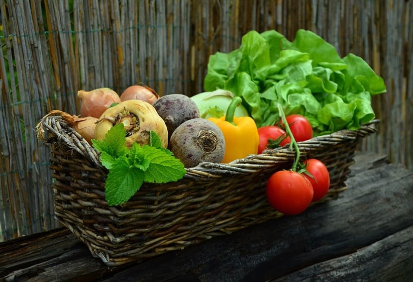Verduras de estación: calendario real por estaciones