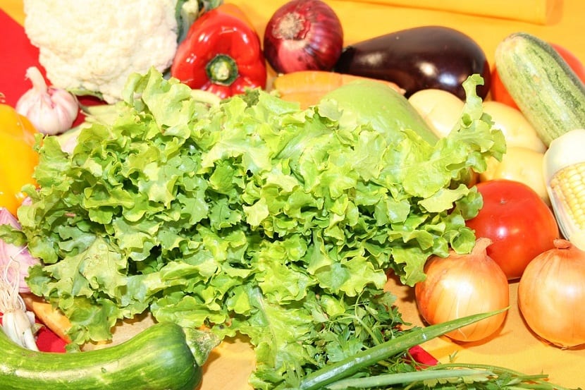 Verduras de invierno: qué cultivar y cosechar con frío