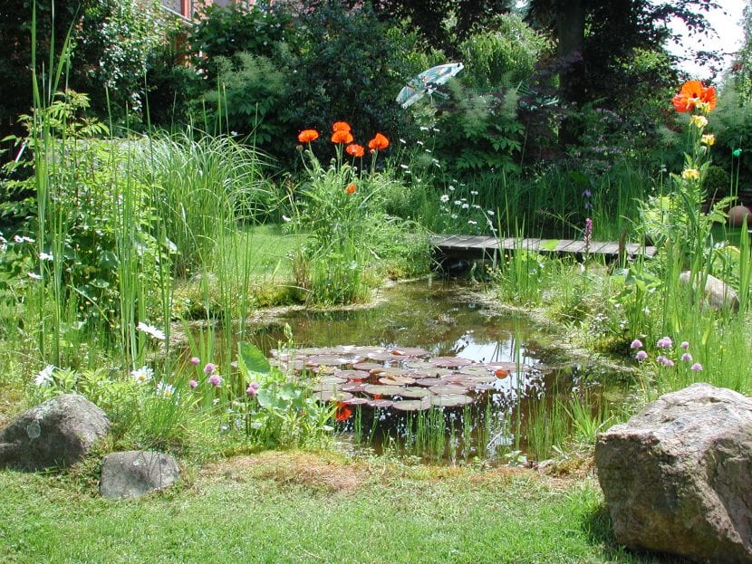 Jardín ecológico