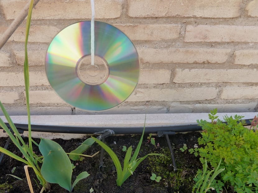 usar cds para espantar palomas
