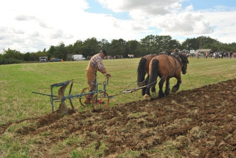 Arado con caballo