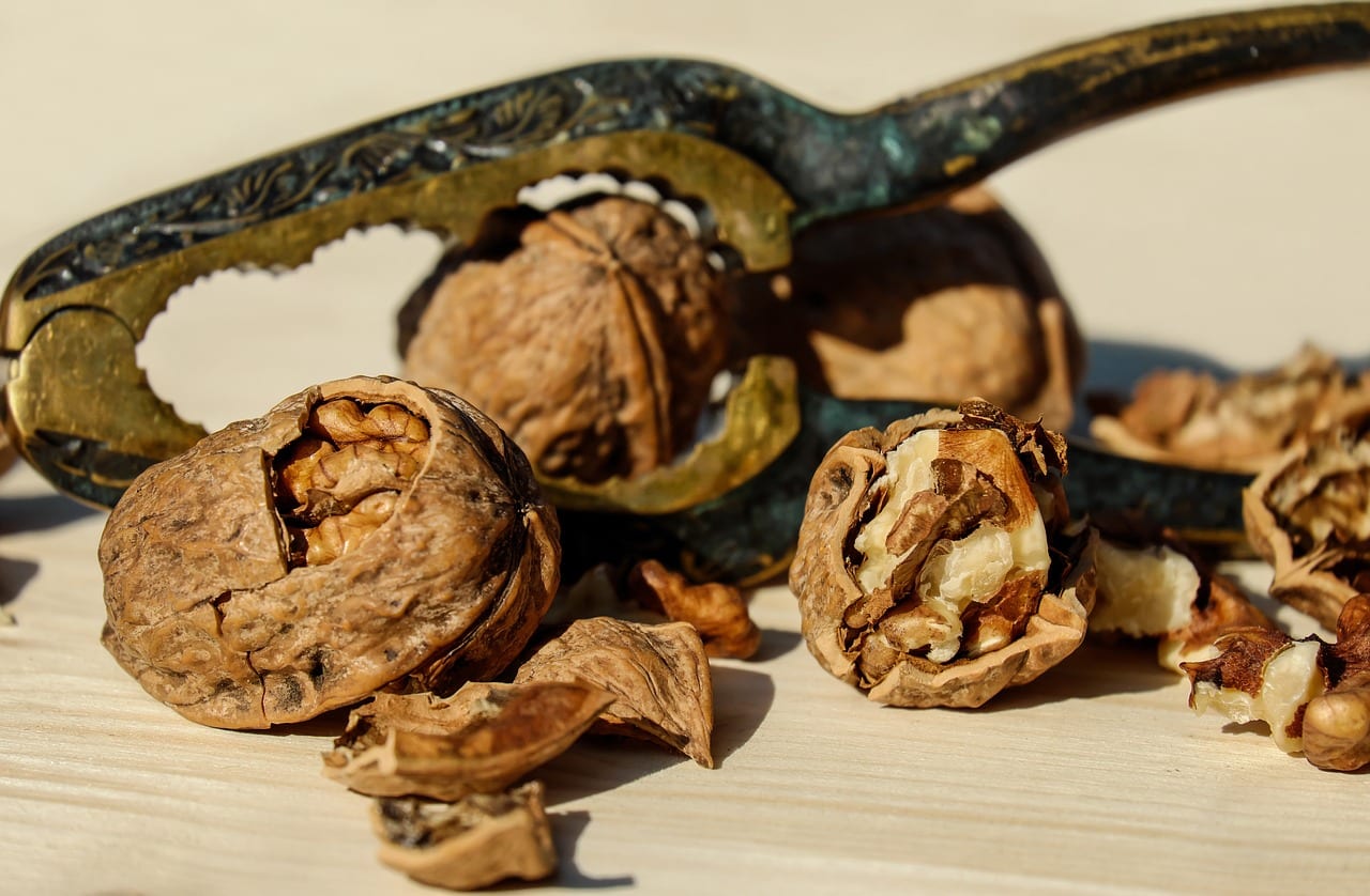 Nueces del árbol Juglans regia