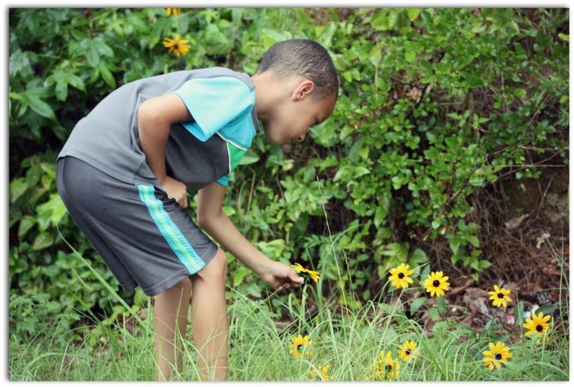 Los niños pueden aprender mucho sobre las plantas