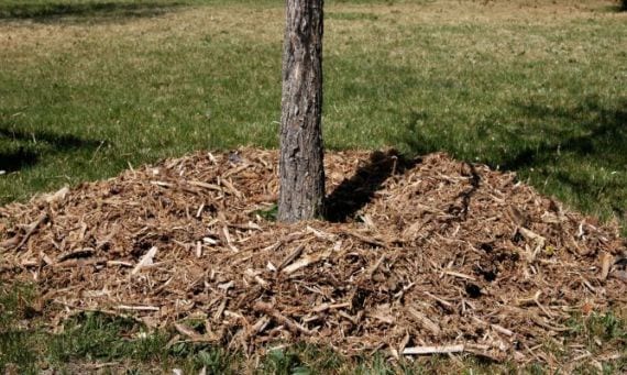 Mulching