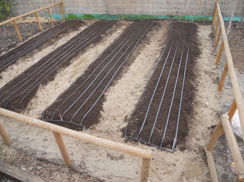Cintas de semillas caseras para el huerto