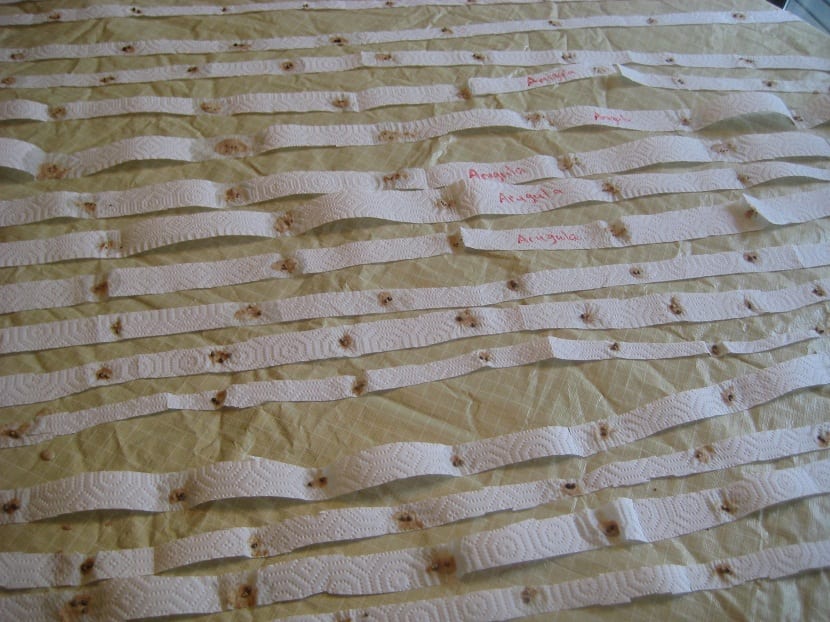 Preparados para la siembra