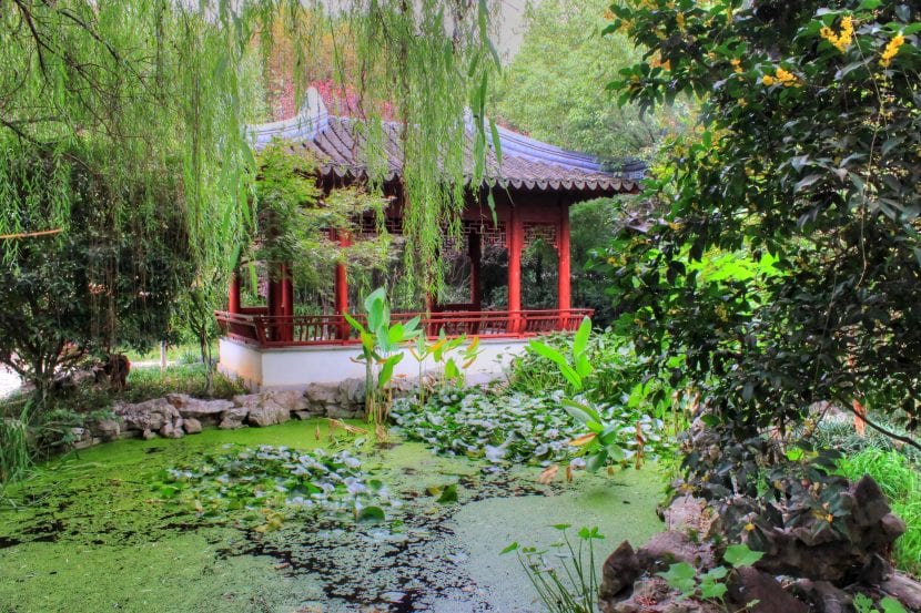Los jardines son lugares donde poder disfrutar de la naturaleza