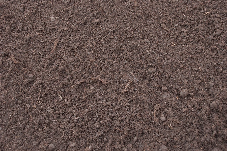 Turba negra, un sustrato ideal para tu Ornithogalum