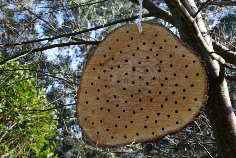 Refugio para abejas