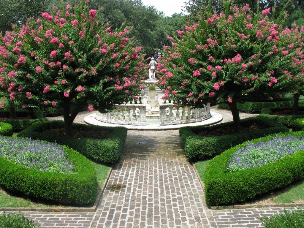 arboles