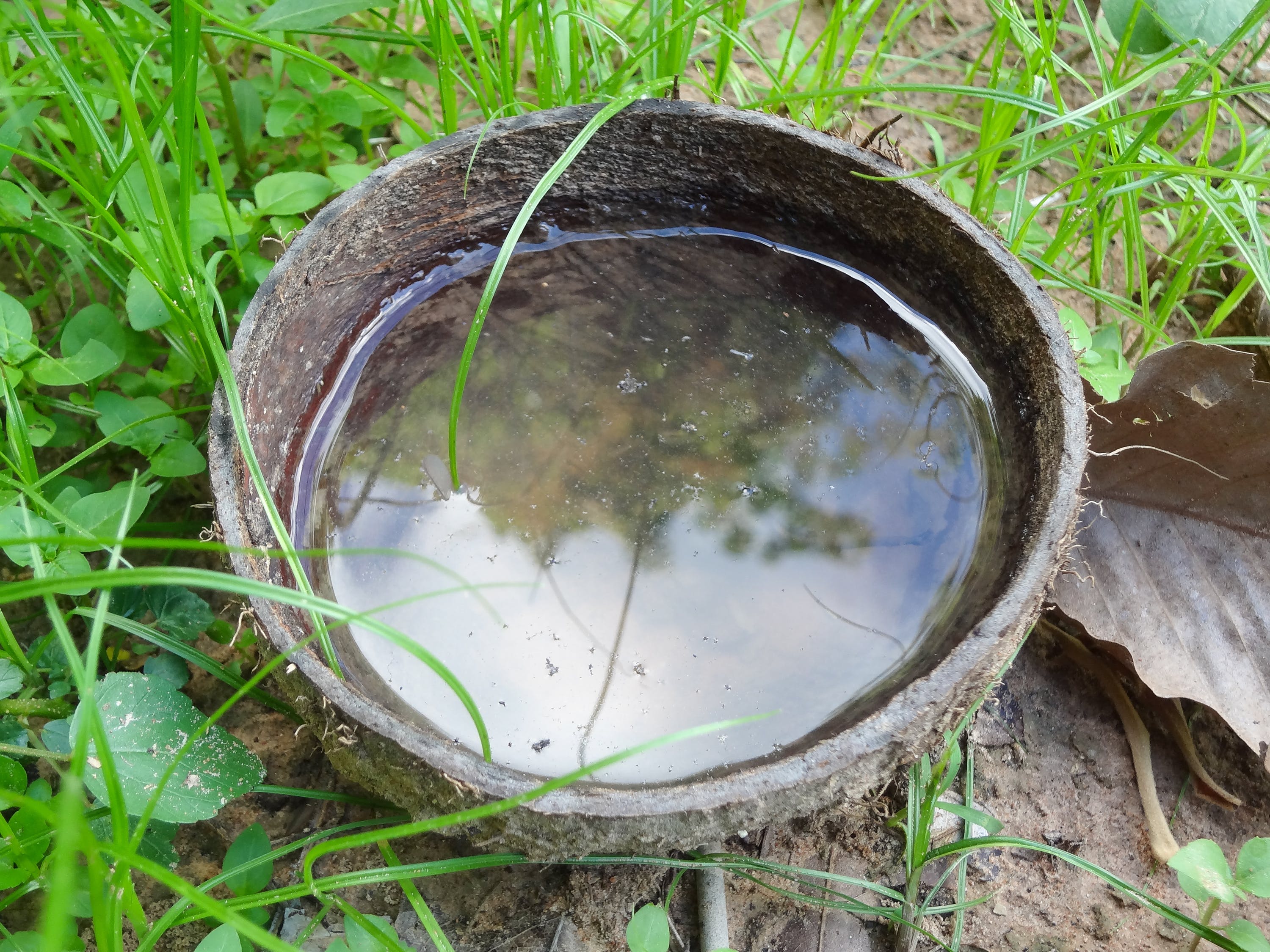 El agua estancada puede oler mal