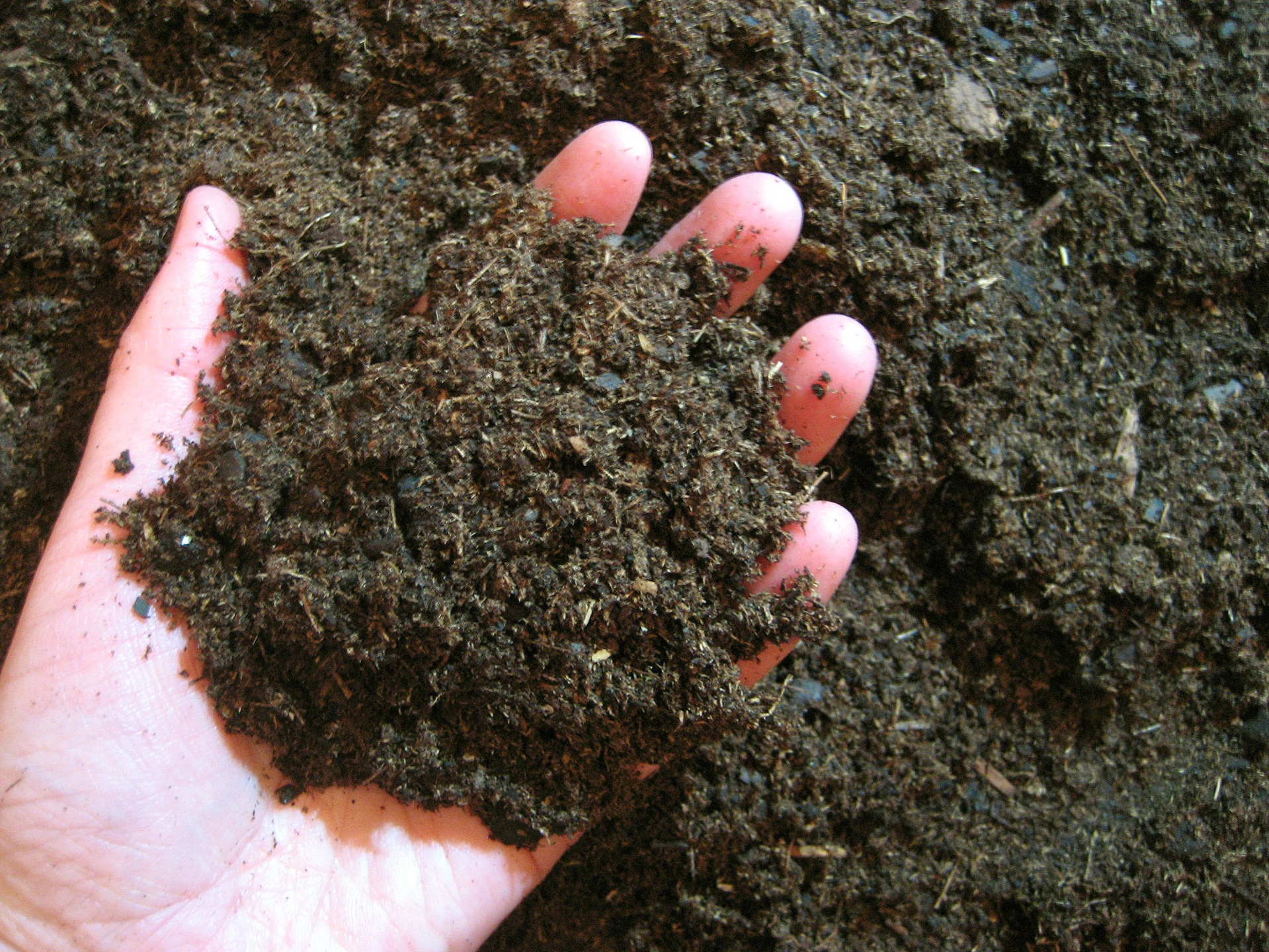 Analiza tu tierra para saber qué plantar