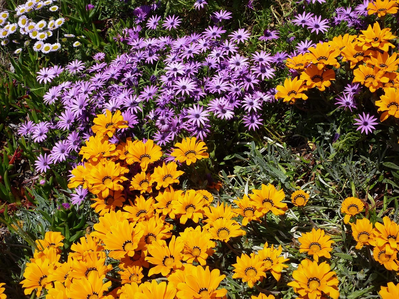 Cómo crear un macizo de flores en el jardín