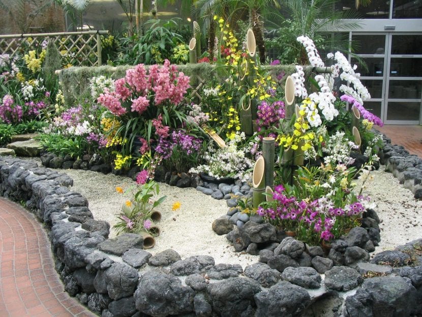 Plantas en un rincón con gravilla