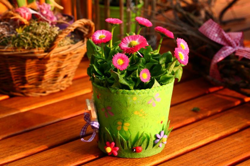 Flores en maceta