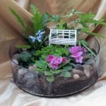 Terrario con plantas