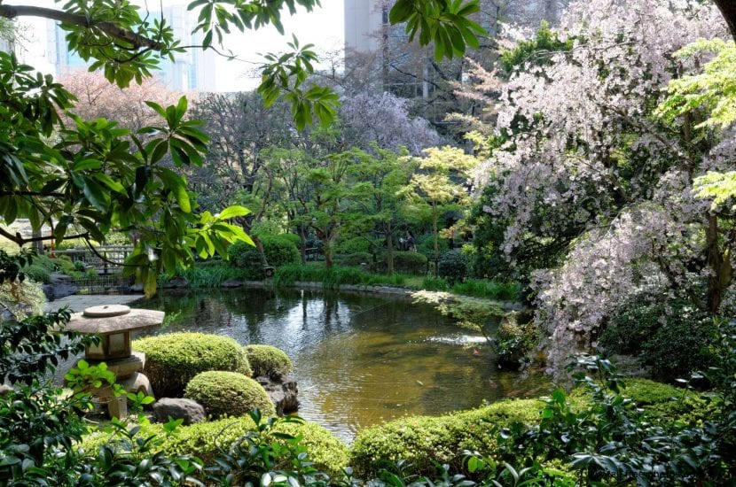 Vista de un jardín