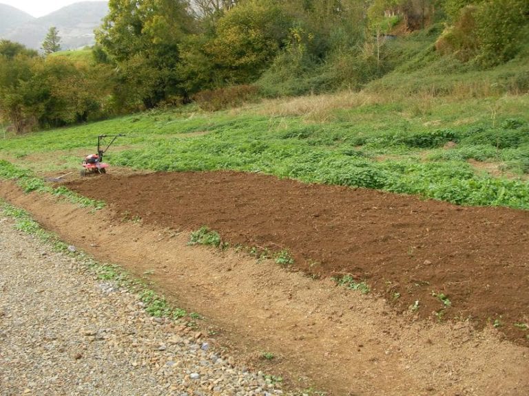 Preparación del terreno antes de sembrar el abono verde