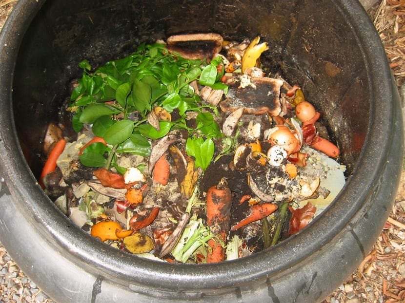 Compost orgánico en espacios reducidos: guía para pisos