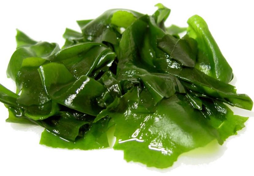 Extracto de algas casero: receta, dosis y usos reales