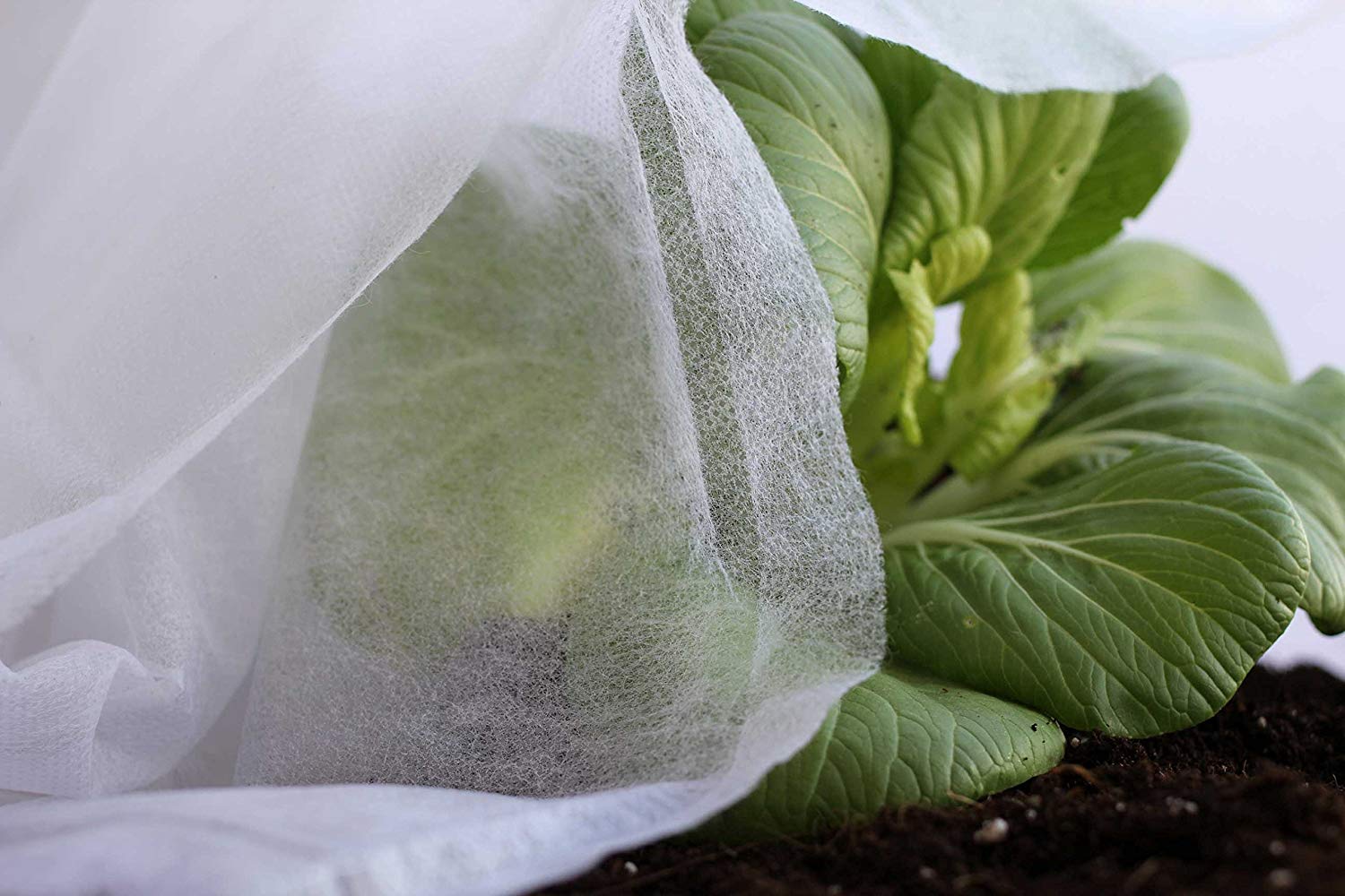 La tela antiheladas protege las plantas