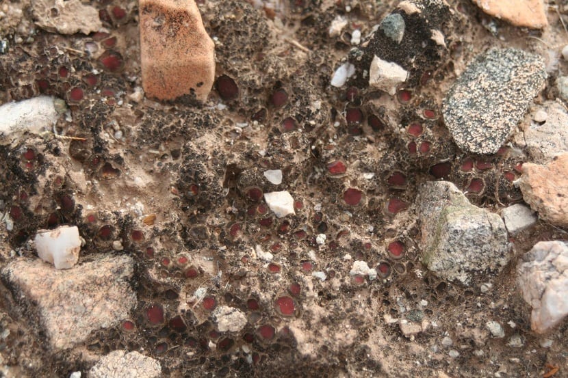 mineral como componente