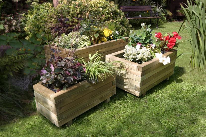 Plantas en macetas de madera