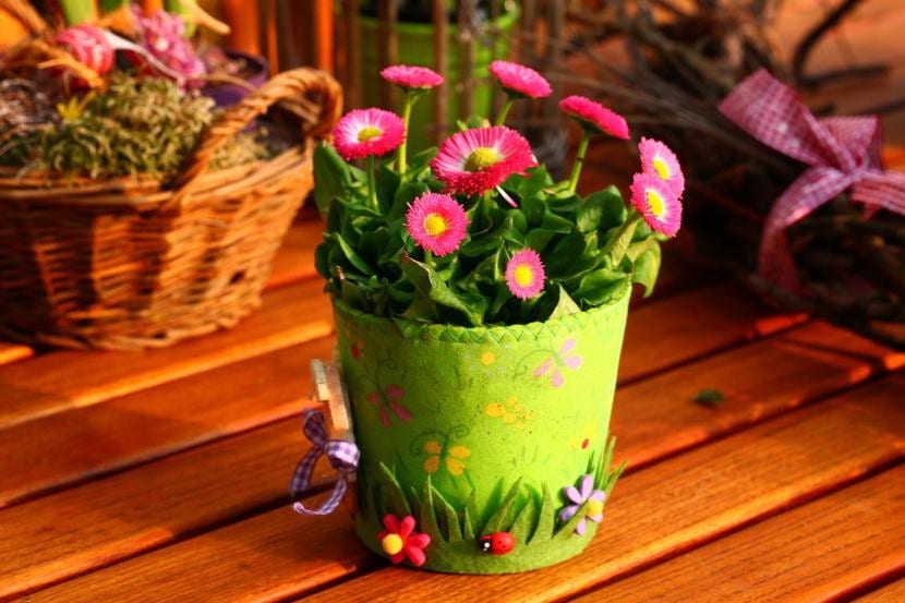 Flores en maceta