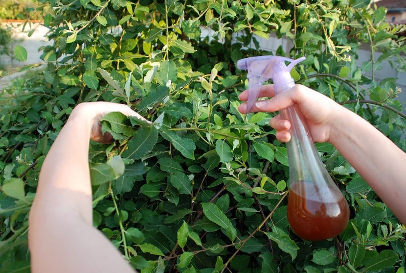 abono liquido y fertilizante