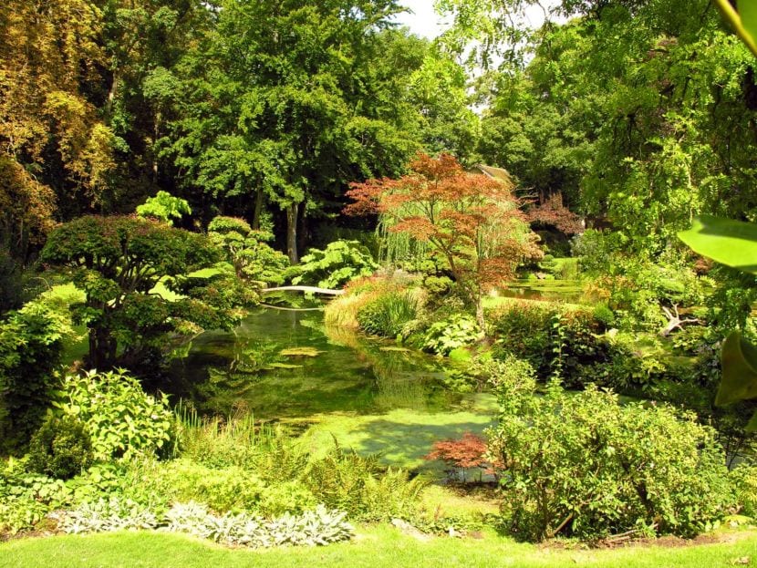 Jardín japonés