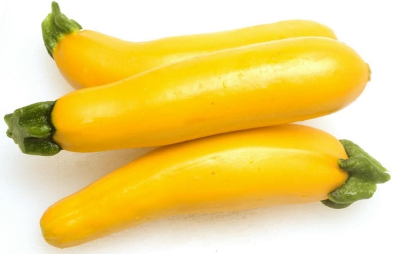 como sembrar los calabacines amarillos