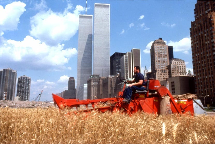 proyecto Wheatfield