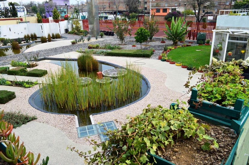 cultivar ciudad