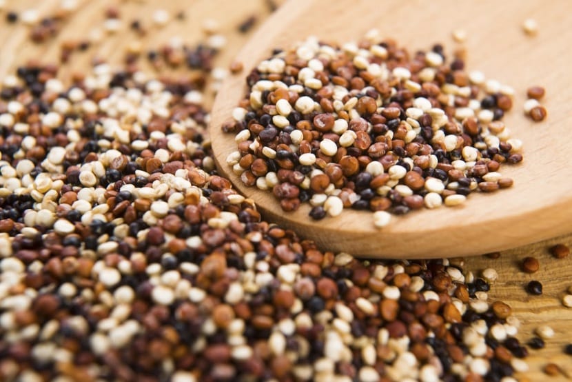 Cómo cultivar y cosechar quinoa en el huerto