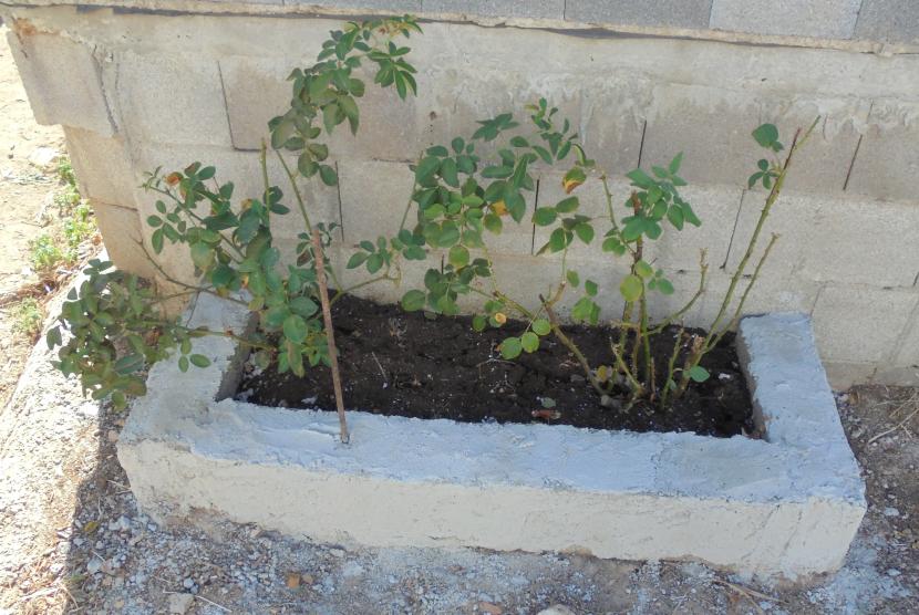Jardinera