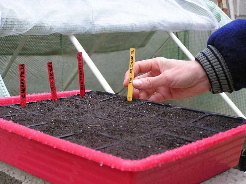 Etiquetas caseras para plantas que aguantan a la intemperie