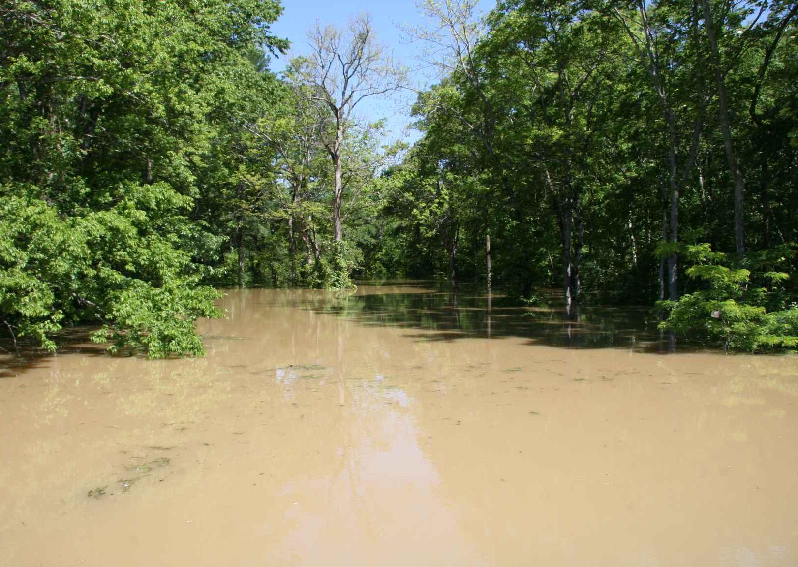 El exceso de agua por lluvias causa serios daños