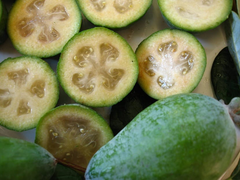 Feijoa