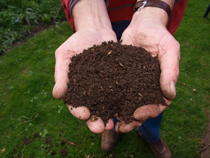Abono orgánico para plantas
