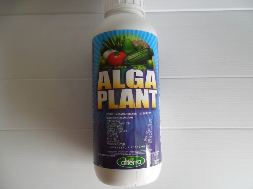 Fertilizante de algas