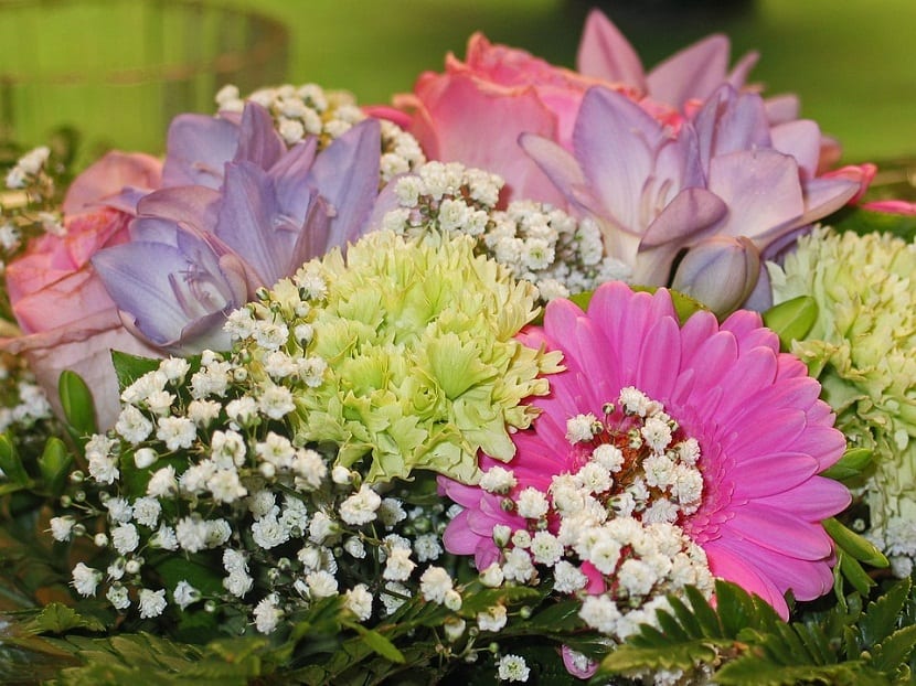 Flores para regalar