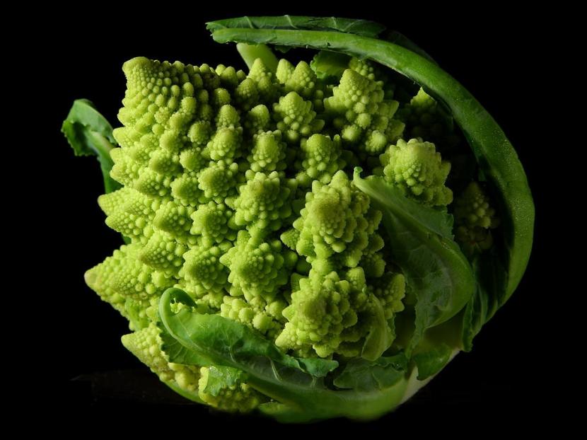 Fractales en las plantas: espirales, helechos y Romanesco
