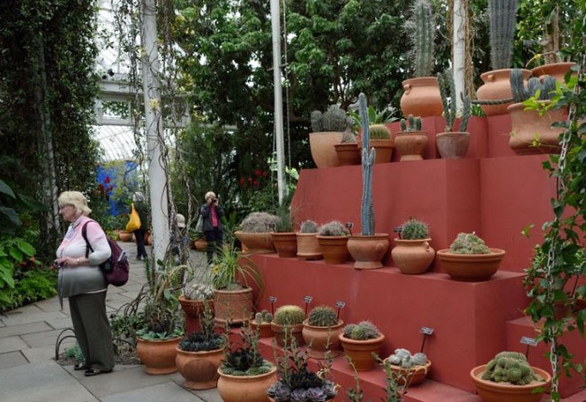 Jardin de Frida Kahlo