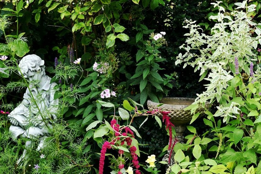El jardín se disfruta más con las herramientas adecuadas