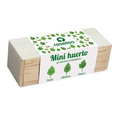 Vista del minihuerto de plantas aromáticas