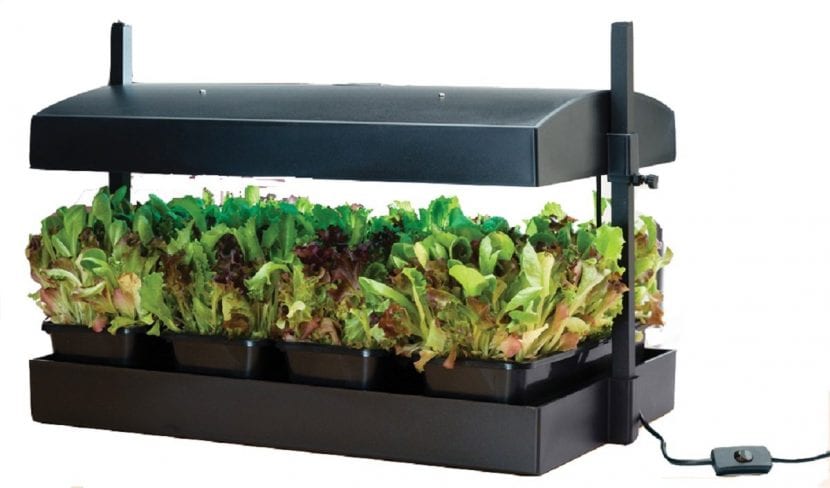 Kit de cultivo hidropónico de la marca Garland