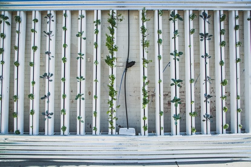 La hidroponía es un sistema de cultivo sin tierra